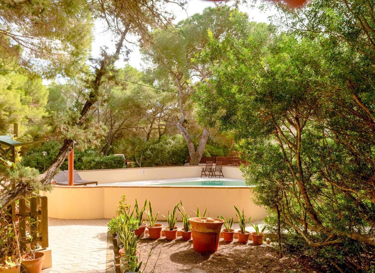 Apartamentos El Pino - Formentera Break Es Calo  Exterior foto